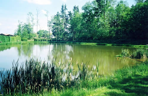L'étang d'Elbach