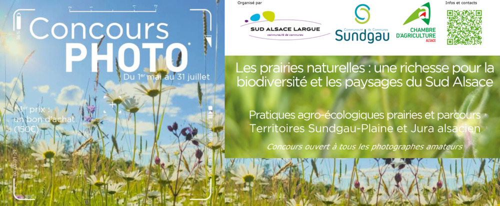 Participez au concours Photo !
