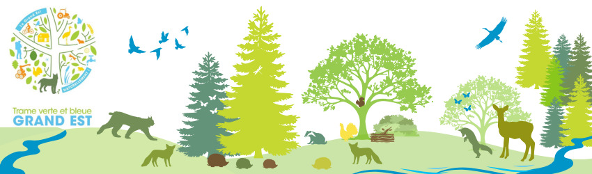 Trame verte et bleue