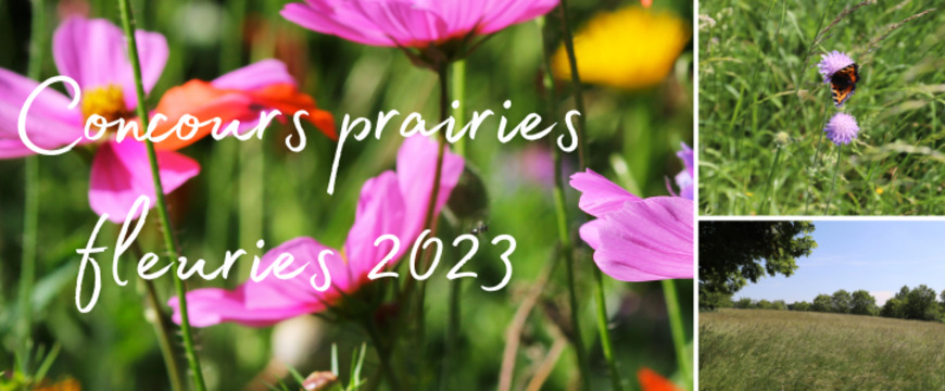 Concours « Prairies fleuries 2022 »  