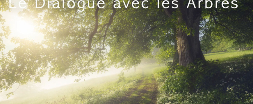 EXPOSITION VIRTUELLE 