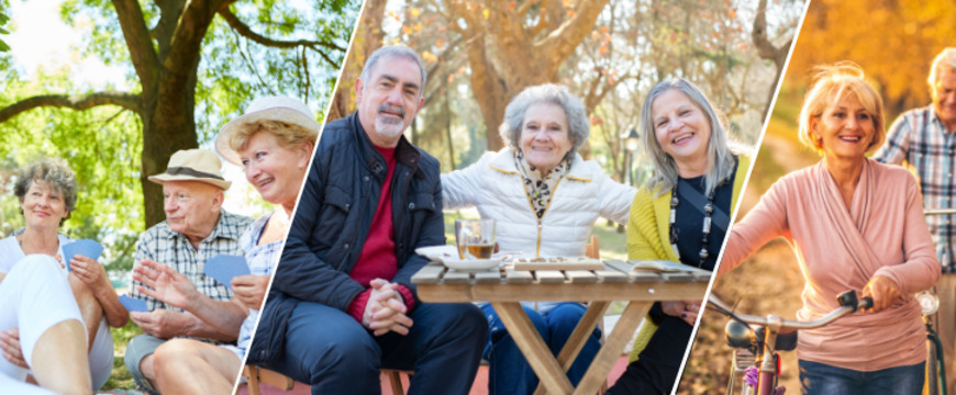 Enquête seniors