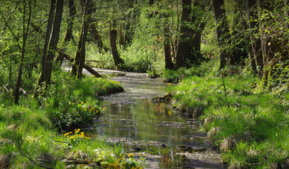 Contrat de Territoire Eau et Climat